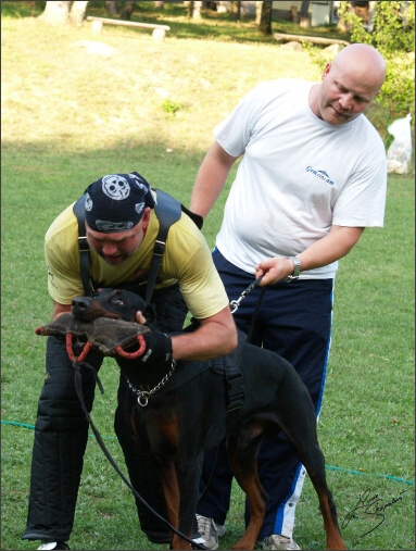 Summer training camp - Jelenec - 2007